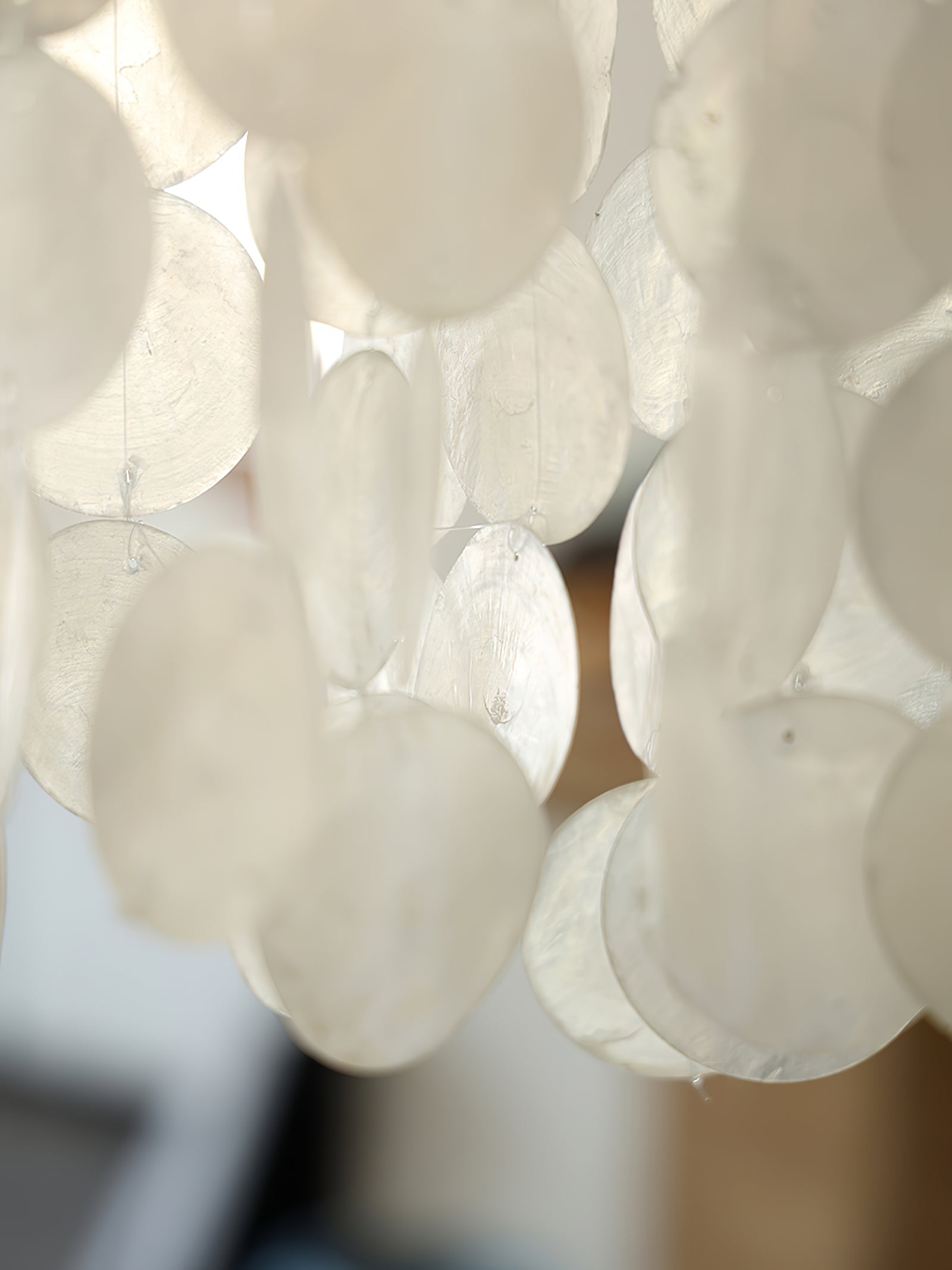 Modern Nerida Shell Chandelier-Chandelier-Briglighting