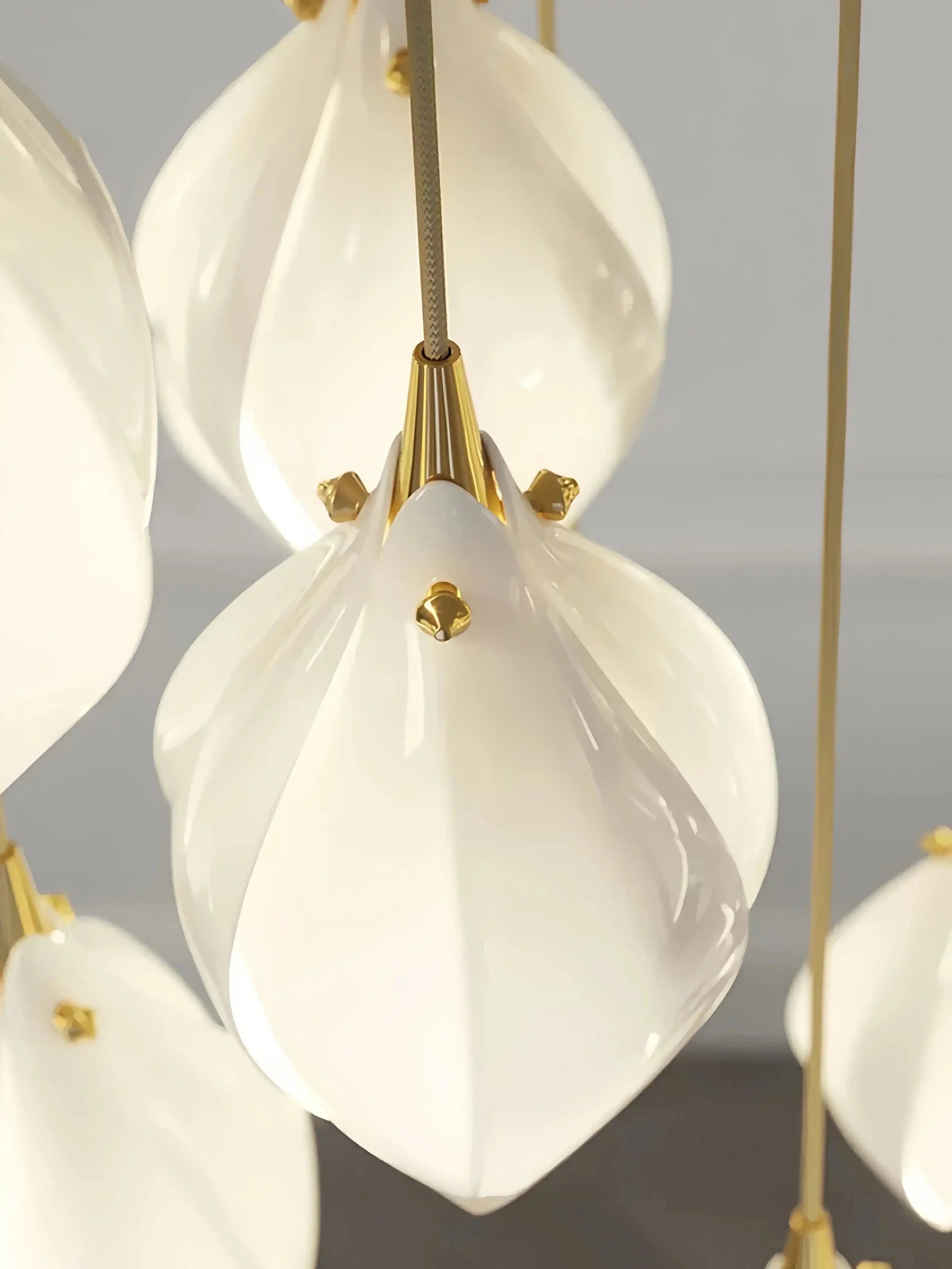 Bloom Chandelier - 26 Lights | Ellipse styleEmitting White LightingBriglighting