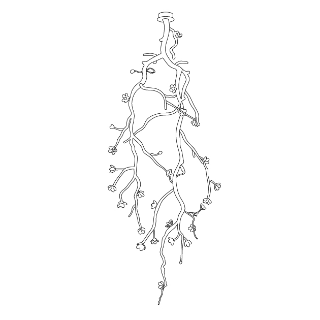 Large Long Branch Flower Chandelier-Briglighting