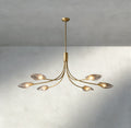 Shell Clear Glass Chandelier-Chandelier-Briglighting