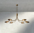 Shell Smoke Glass Chandelier-Chandelier-Briglighting